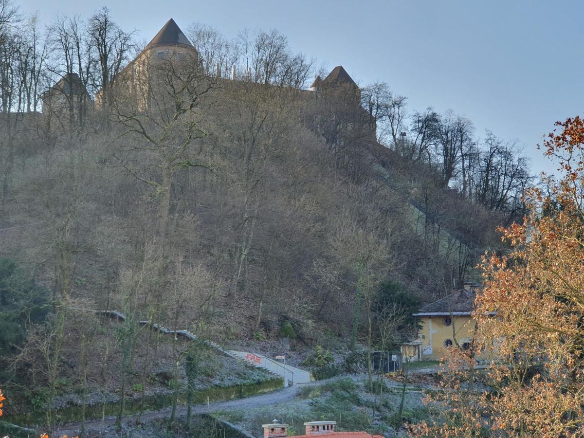 Bossa Nova Castle&Outstanding Home With Garage Ljubljana Dış mekan fotoğraf